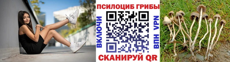 Псилоцибиновые грибы Psilocybine cubensis  продажа наркотиков  Урай 